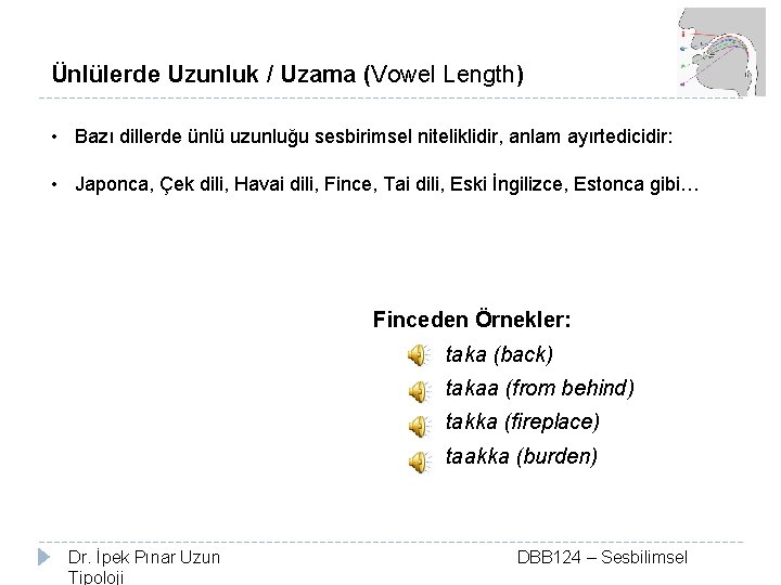 Ünlülerde Uzunluk / Uzama (Vowel Length) • Bazı dillerde ünlü uzunluğu sesbirimsel niteliklidir, anlam