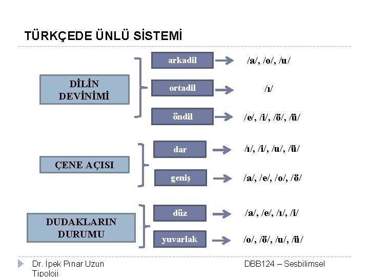 TÜRKÇEDE ÜNLÜ SİSTEMİ DİLİN DEVİNİMİ arkadil /a/, /o/, /u/ ortadil /ı/ öndil /e/, /i/,