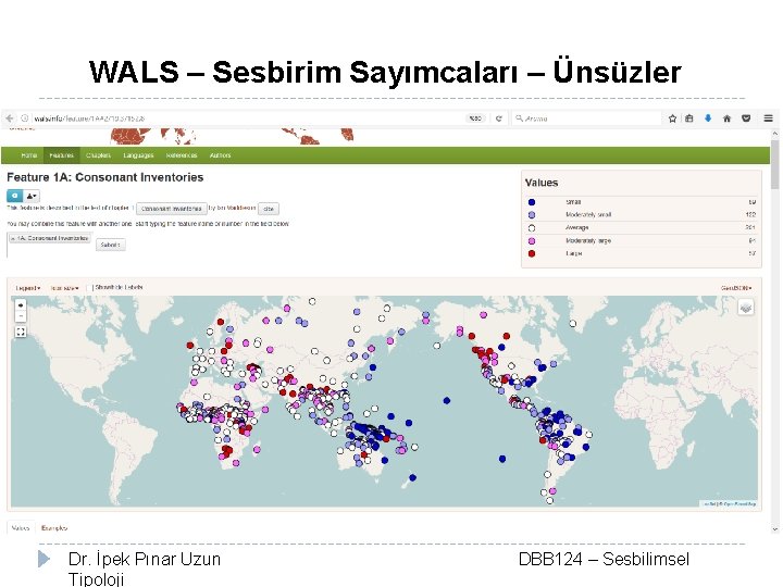 WALS – Sesbirim Sayımcaları – Ünsüzler Dr. İpek Pınar Uzun Tipoloji DBB 124 –