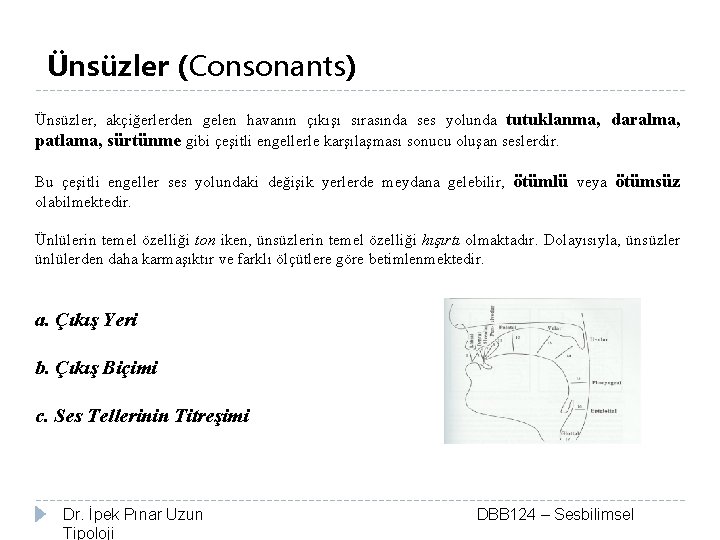 Ünsüzler (Consonants) Ünsüzler, akçiğerlerden gelen havanın çıkışı sırasında ses yolunda tutuklanma, daralma, patlama, sürtünme