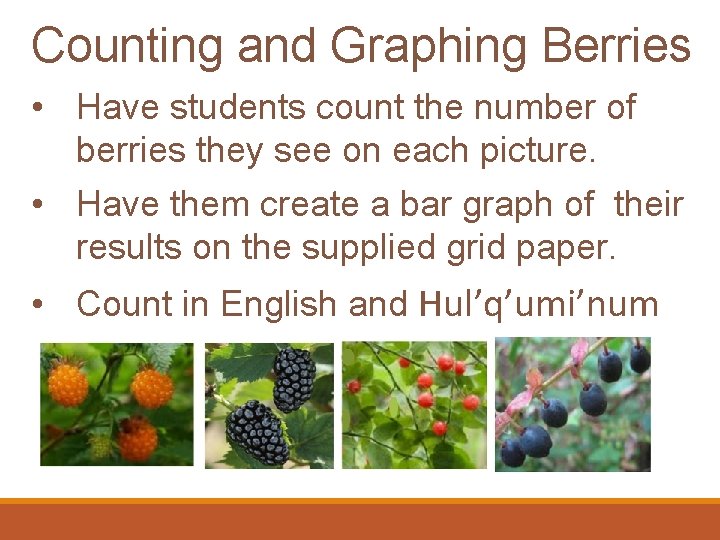 Counting and Graphing Berries • Have students count the number of berries they see