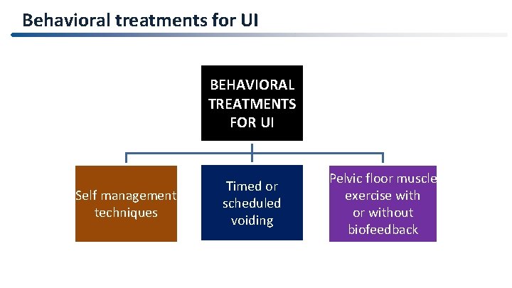 Behavioral treatments for UI BEHAVIORAL TREATMENTS FOR UI Self management techniques Timed or scheduled