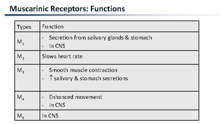 Muscarinic Receptors: Functions Types M 1 Function • • Secretion from salivary glands &