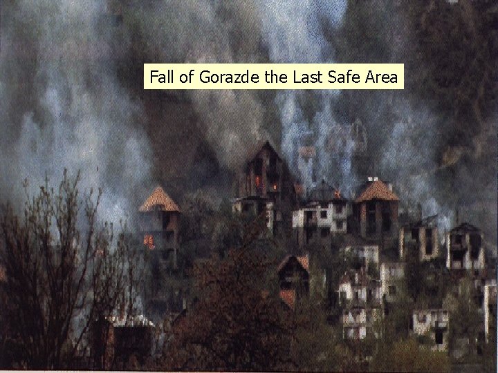 Fall of Gorazde the Last Safe Area 