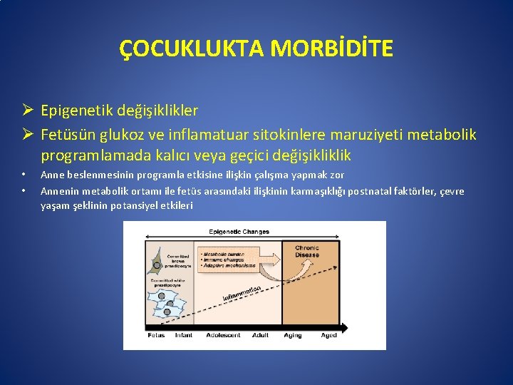 ÇOCUKLUKTA MORBİDİTE Ø Epigenetik değişiklikler Ø Fetüsün glukoz ve inflamatuar sitokinlere maruziyeti metabolik programlamada