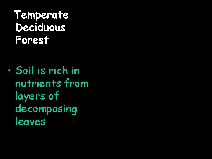 Temperate Deciduous Forest • Soil is rich in nutrients from layers of decomposing leaves