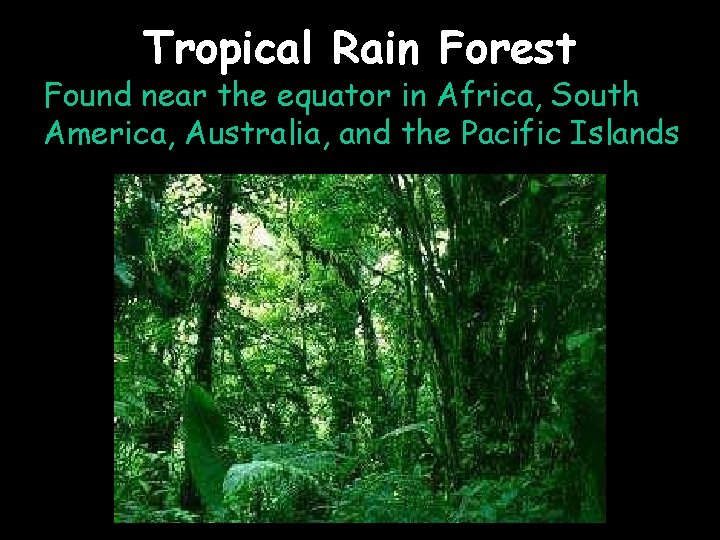 Tropical Rain Forest Found near the equator in Africa, South America, Australia, and the
