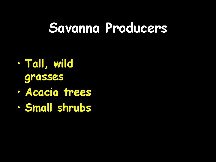 Savanna Producers • Tall, wild grasses • Acacia trees • Small shrubs 