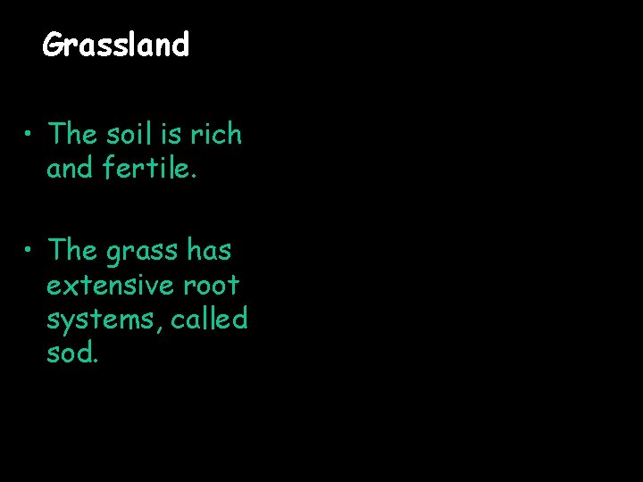 Grassland • The soil is rich and fertile. • The grass has extensive root