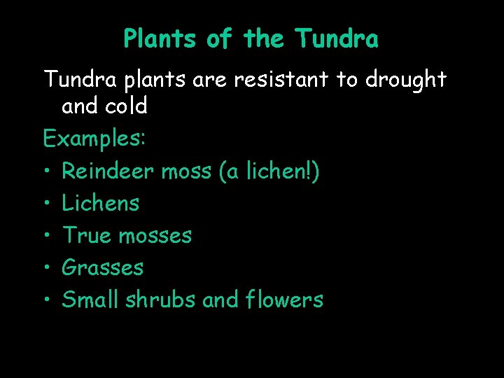 Plants of the Tundra plants are resistant to drought and cold Examples: • Reindeer