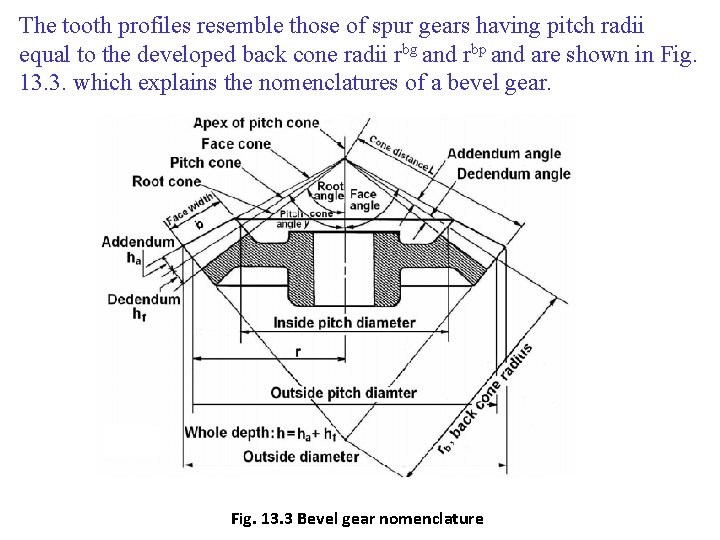 The tooth profiles resemble those of spur gears having pitch radii equal to the