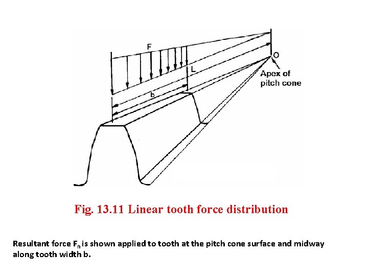 Fig. 13. 11 Linear tooth force distribution Resultant force Fn is shown applied to