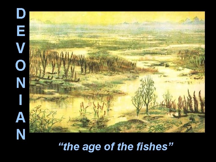 D E V O N I A N “the age of the fishes” 