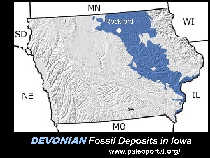 Rockford DEVONIAN Fossil Deposits in Iowa www. paleoportal. org/ 