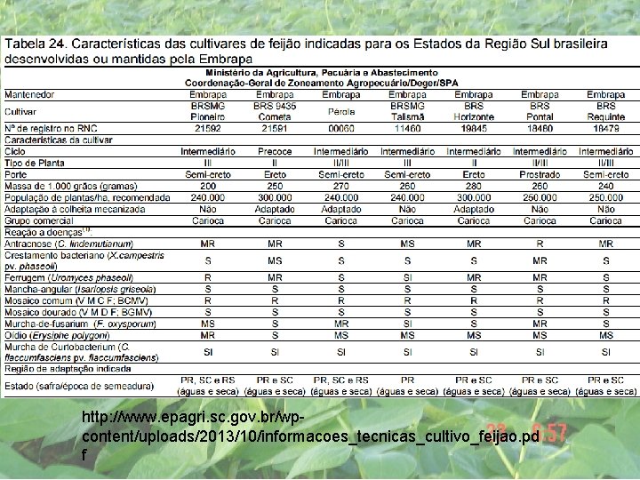 http: //www. epagri. sc. gov. br/wpcontent/uploads/2013/10/informacoes_tecnicas_cultivo_feijao. pd f 