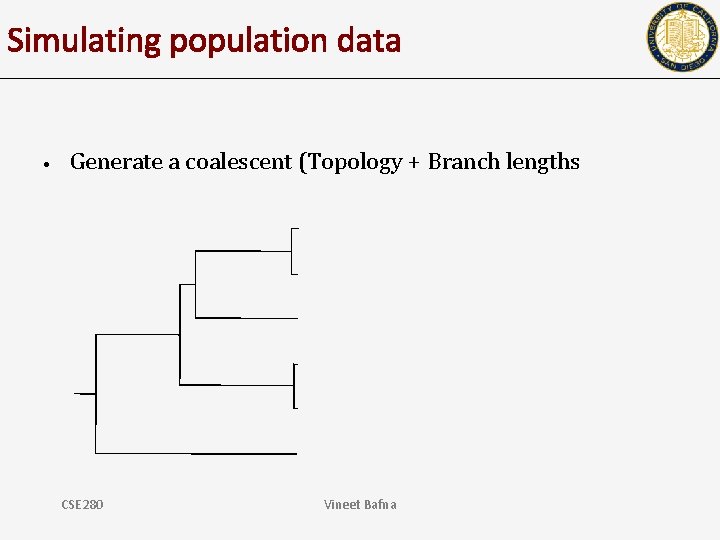 Simulating population data • Generate a coalescent (Topology + Branch lengths CSE 280 Vineet