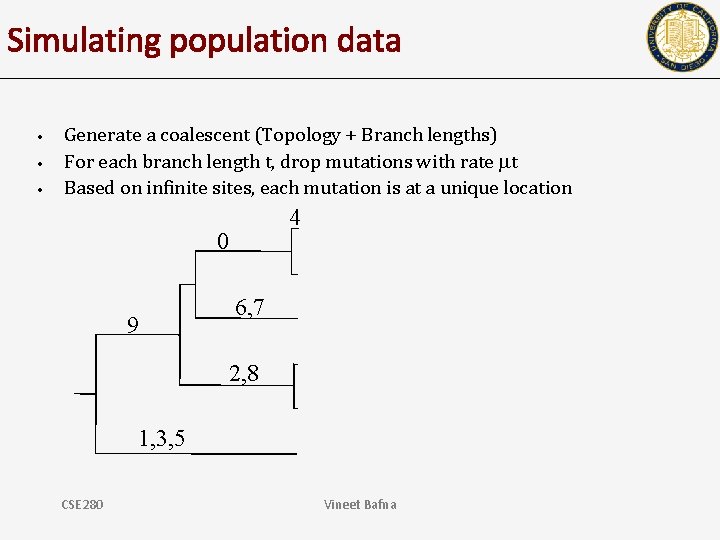 Simulating population data • • • Generate a coalescent (Topology + Branch lengths) For