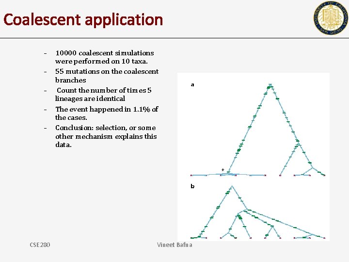 Coalescent application – – – CSE 280 10000 coalescent simulations were performed on 10