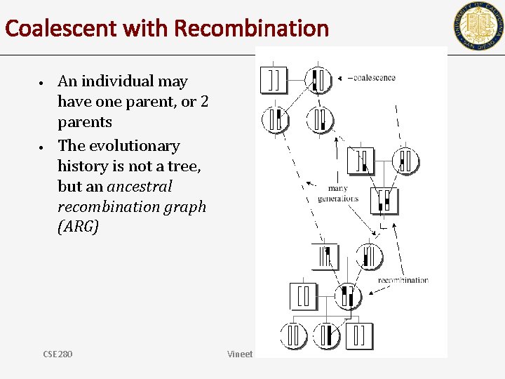 Coalescent with Recombination • • An individual may have one parent, or 2 parents