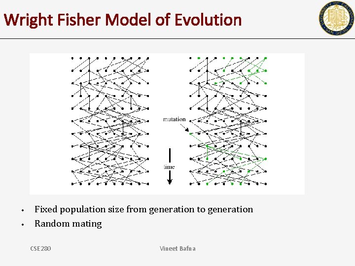 Wright Fisher Model of Evolution • • Fixed population size from generation to generation