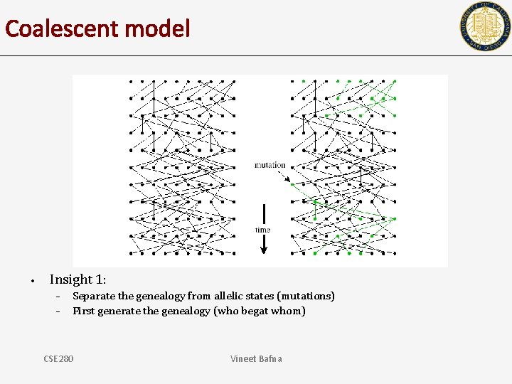 Coalescent model • Insight 1: – – Separate the genealogy from allelic states (mutations)