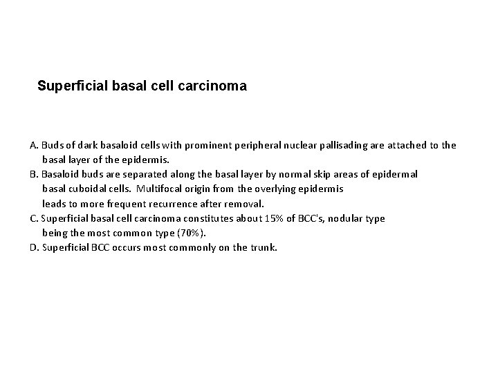 Superficial basal cell carcinoma A. Buds of dark basaloid cells with prominent peripheral nuclear