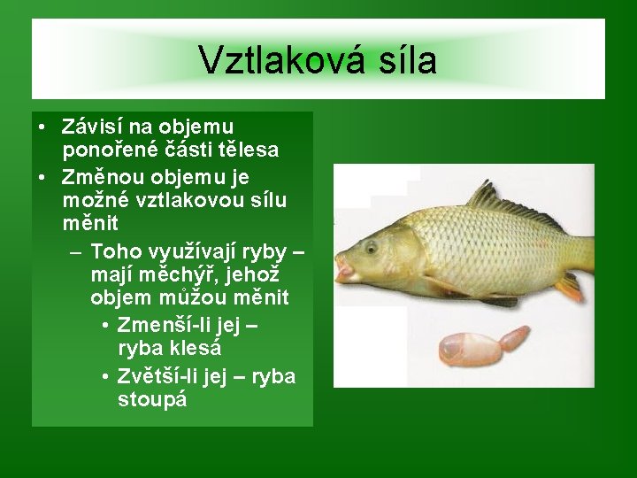 Vztlaková síla • Závisí na objemu ponořené části tělesa • Změnou objemu je možné