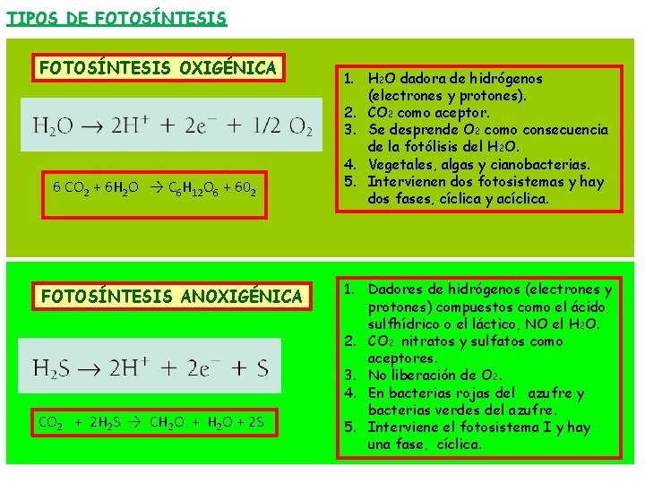 TIPOS DE FOTOSÍNTESIS OXIGÉNICA 6 CO 2 + 6 H 2 O → C