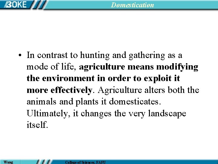 Domestication • In contrast to hunting and gathering as a mode of life, agriculture