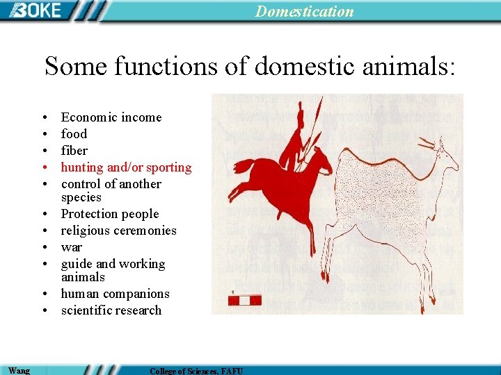 Domestication Some functions of domestic animals: • • • Wang Economic income food fiber