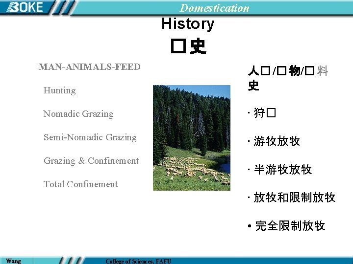 Domestication History �史 MAN-ANIMALS-FEED Hunting 人� /� 物/� 料 史 Nomadic Grazing • 狩�