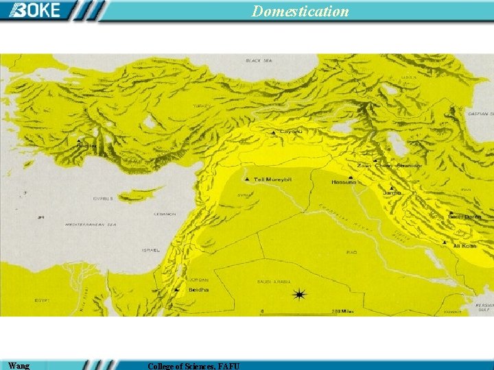Domestication Wang College of Sciences, FAFU 