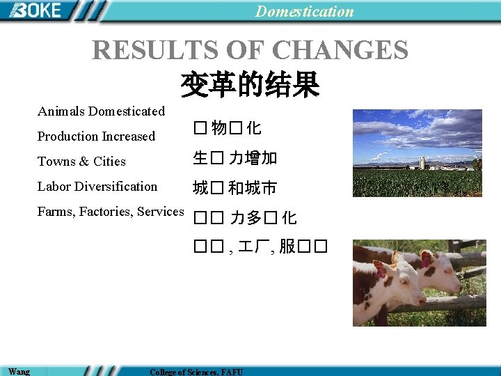 Domestication RESULTS OF CHANGES 变革的结果 Animals Domesticated Production Increased � 物� 化 Towns &