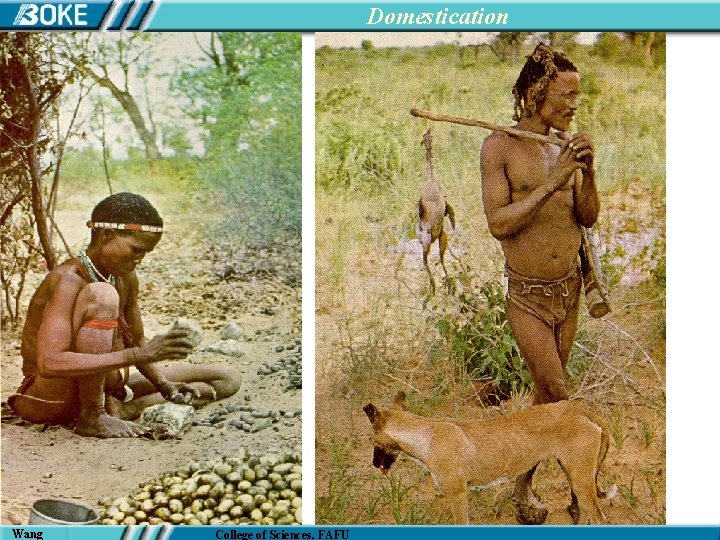 Domestication Wang College of Sciences, FAFU 