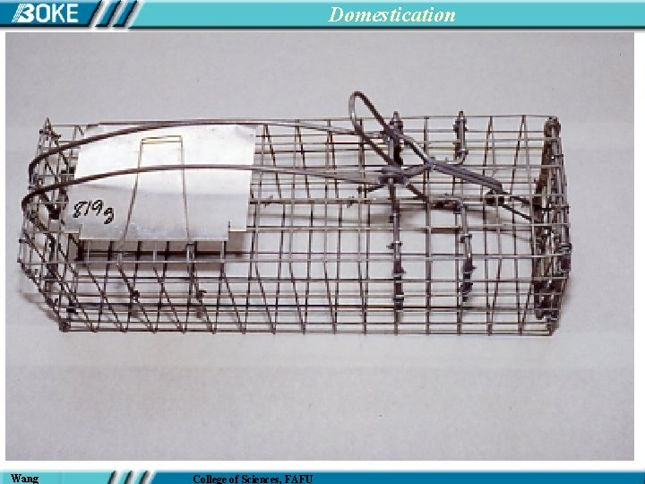 Domestication Wang College of Sciences, FAFU 