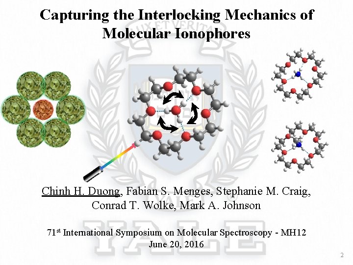 Capturing the Interlocking Mechanics of Molecular Ionophores Chinh H. Duong, Fabian S. Menges, Stephanie