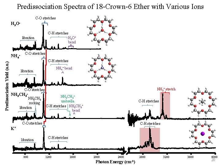 Predissociation Spectra of 18 -Crown-6 Ether with Various Ions H 3 O+ asym stretch