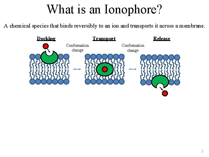 What is an Ionophore? A chemical species that binds reversibly to an ion and