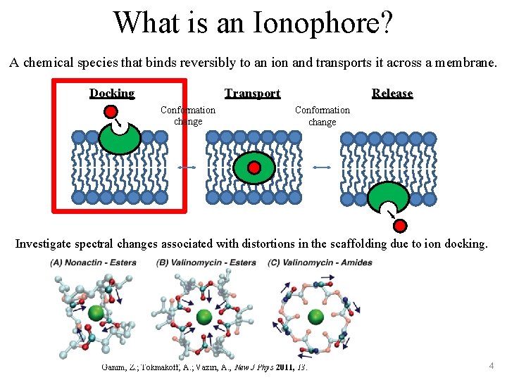 What is an Ionophore? A chemical species that binds reversibly to an ion and