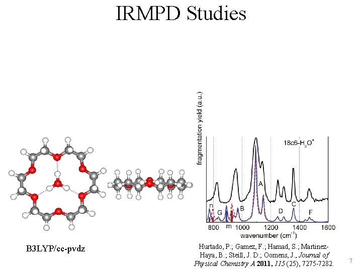 IRMPD Studies B 3 LYP/cc-pvdz Hurtado, P. ; Gamez, F. ; Hamad, S. ;