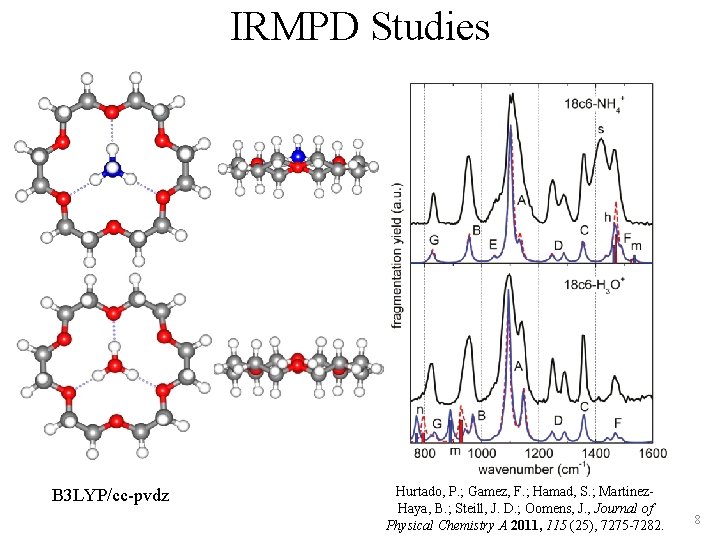 IRMPD Studies B 3 LYP/cc-pvdz Hurtado, P. ; Gamez, F. ; Hamad, S. ;