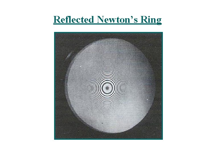 Reflected Newton’s Ring 