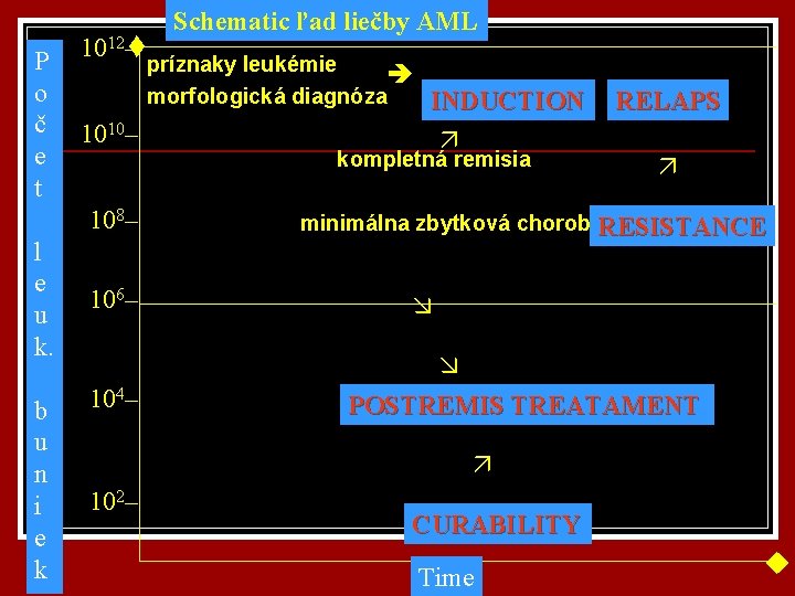 P o č e t 1012– 1010– 108– l e u k. b u