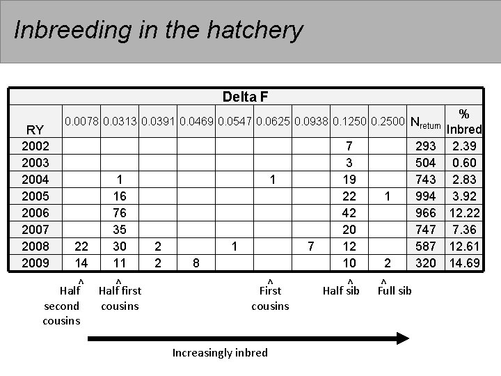 Inbreeding in the hatchery Delta F RY 2002 2003 2004 2005 2006 2007 2008