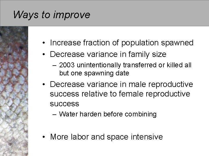 Ways to improve • Increase fraction of population spawned • Decrease variance in family