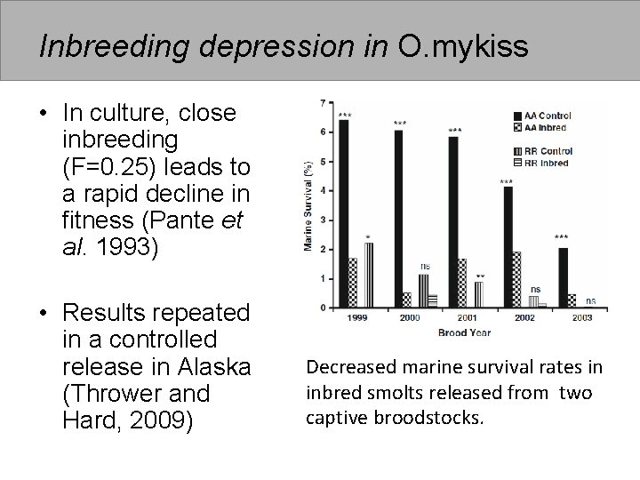 Inbreeding depression in O. mykiss • In culture, close inbreeding (F=0. 25) leads to