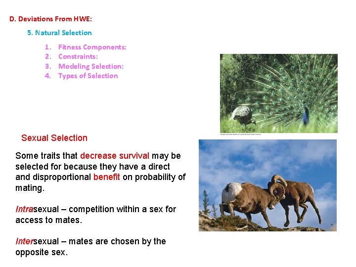 D. Deviations From HWE: 5. Natural Selection 1. Fitness Components: 2. Constraints: 3. Modeling