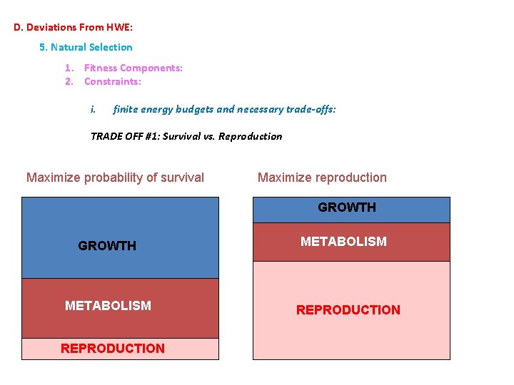 D. Deviations From HWE: 5. Natural Selection 1. Fitness Components: 2. Constraints: i. finite