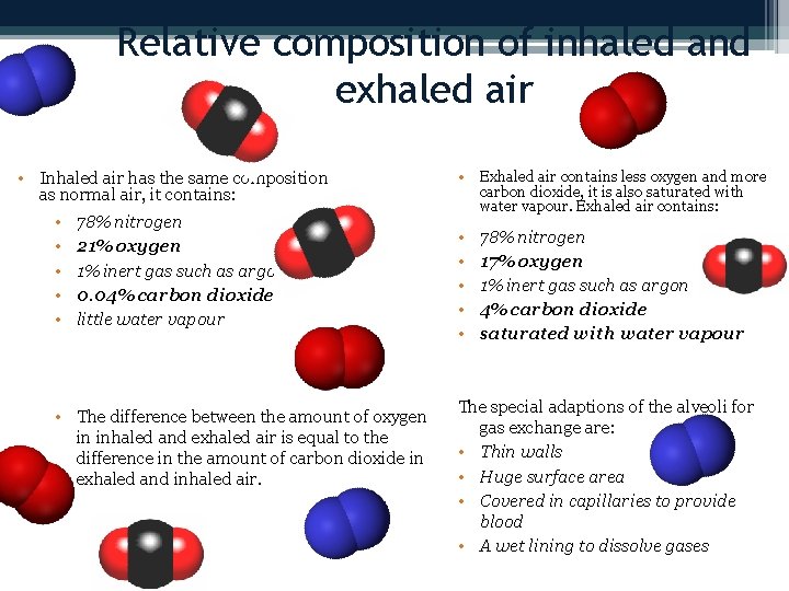 Relative composition of inhaled and exhaled air • Inhaled air has the same composition