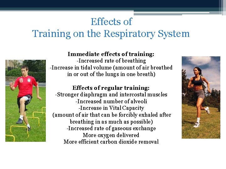 Effects of Training on the Respiratory System Immediate effects of training: -Increased rate of